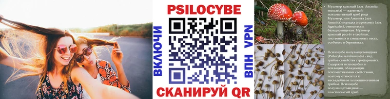 Галлюциногенные грибы Psilocybe  Купить  Мончегорск 